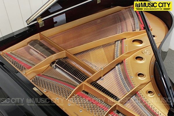 Music City – Tổng Kho Piano, Guitar, Organ | Dịch Vụ Giáo Dục Âm Nhạc