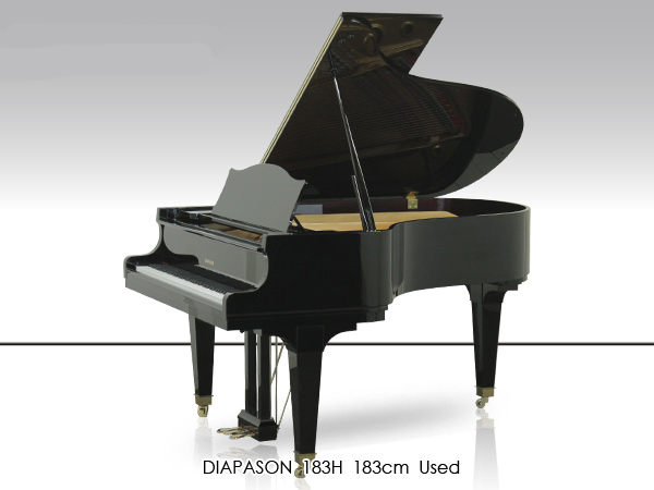 Đàn Grand Diapason 183H - Ảnh 2