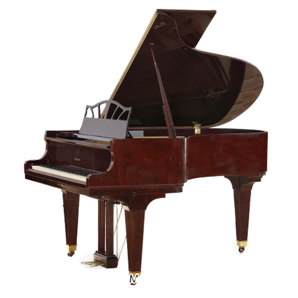 Music City – Tổng Kho Piano, Guitar, Organ | Dịch Vụ Giáo Dục Âm Nhạc