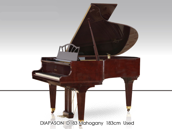 Music City – Tổng Kho Piano, Guitar, Organ | Dịch Vụ Giáo Dục Âm Nhạc