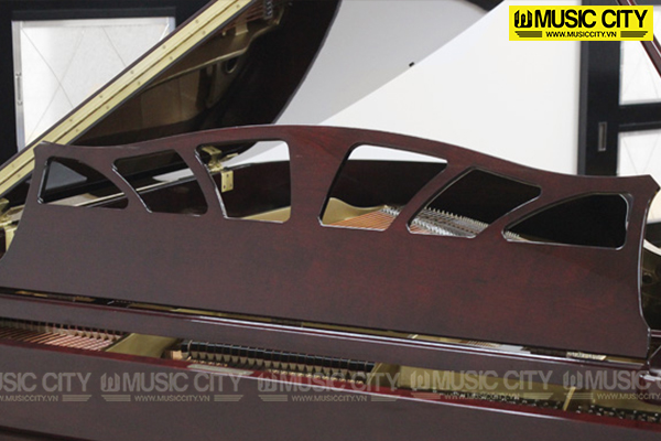 Music City – Tổng Kho Piano, Guitar, Organ | Dịch Vụ Giáo Dục Âm Nhạc