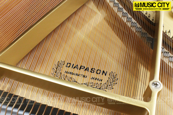 Music City – Tổng Kho Piano, Guitar, Organ | Dịch Vụ Giáo Dục Âm Nhạc