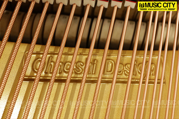 Music City – Tổng Kho Piano, Guitar, Organ | Dịch Vụ Giáo Dục Âm Nhạc