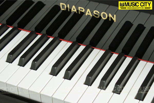 Music City – Tổng Kho Piano, Guitar, Organ | Dịch Vụ Giáo Dục Âm Nhạc