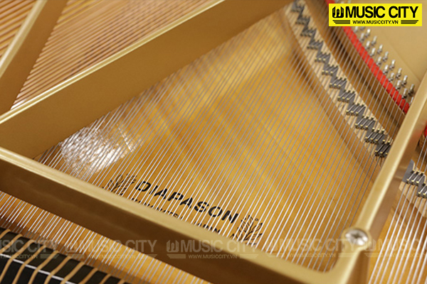Music City – Tổng Kho Piano, Guitar, Organ | Dịch Vụ Giáo Dục Âm Nhạc