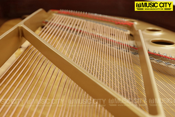 Đàn Grand Diapason 210WS - Ảnh 7