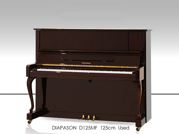 Music City – Tổng Kho Piano, Guitar, Organ | Dịch Vụ Giáo Dục Âm Nhạc