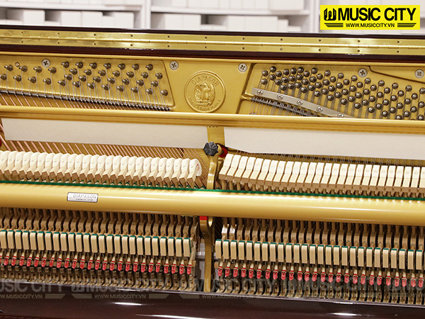 Music City – Tổng Kho Piano, Guitar, Organ | Dịch Vụ Giáo Dục Âm Nhạc