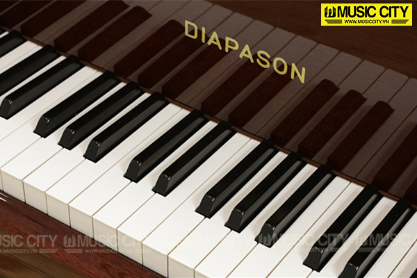 Music City – Tổng Kho Piano, Guitar, Organ | Dịch Vụ Giáo Dục Âm Nhạc
