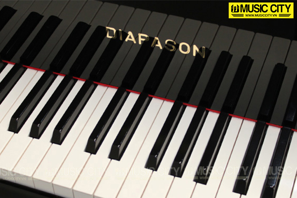 Music City – Tổng Kho Piano, Guitar, Organ | Dịch Vụ Giáo Dục Âm Nhạc