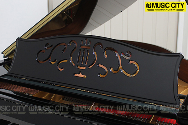 Music City – Tổng Kho Piano, Guitar, Organ | Dịch Vụ Giáo Dục Âm Nhạc