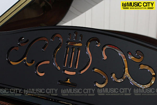 Music City – Tổng Kho Piano, Guitar, Organ | Dịch Vụ Giáo Dục Âm Nhạc