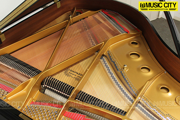 Music City – Tổng Kho Piano, Guitar, Organ | Dịch Vụ Giáo Dục Âm Nhạc
