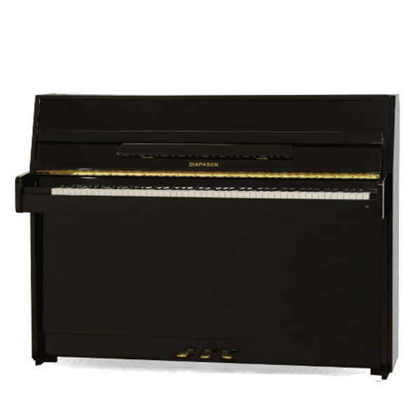 Music City – Tổng Kho Piano, Guitar, Organ | Dịch Vụ Giáo Dục Âm Nhạc