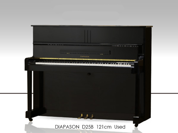 Music City – Tổng Kho Piano, Guitar, Organ | Dịch Vụ Giáo Dục Âm Nhạc