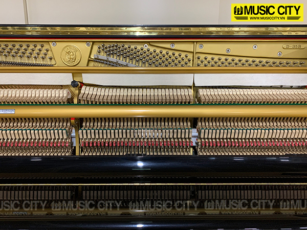 Music City – Tổng Kho Piano, Guitar, Organ | Dịch Vụ Giáo Dục Âm Nhạc