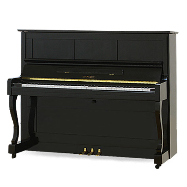 Music City – Tổng Kho Piano, Guitar, Organ | Dịch Vụ Giáo Dục Âm Nhạc