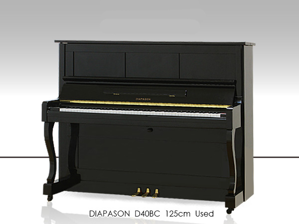 Music City – Tổng Kho Piano, Guitar, Organ | Dịch Vụ Giáo Dục Âm Nhạc