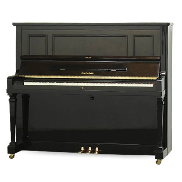 Music City – Tổng Kho Piano, Guitar, Organ | Dịch Vụ Giáo Dục Âm Nhạc
