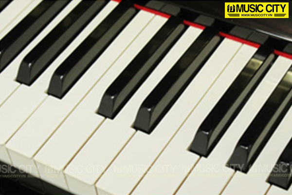 Đàn Piano Diapason D66W - Ảnh 3