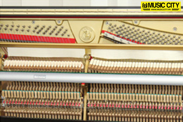 Music City – Tổng Kho Piano, Guitar, Organ | Dịch Vụ Giáo Dục Âm Nhạc