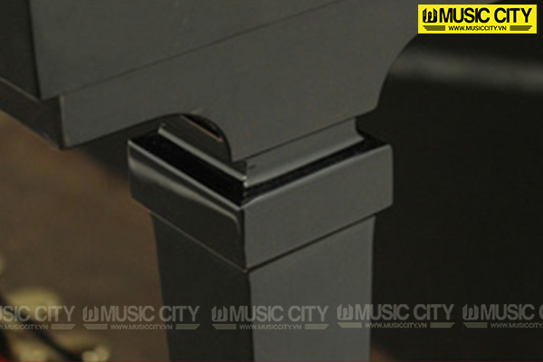 Music City – Tổng Kho Piano, Guitar, Organ | Dịch Vụ Giáo Dục Âm Nhạc