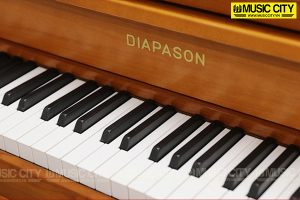 Music City – Tổng Kho Piano, Guitar, Organ | Dịch Vụ Giáo Dục Âm Nhạc