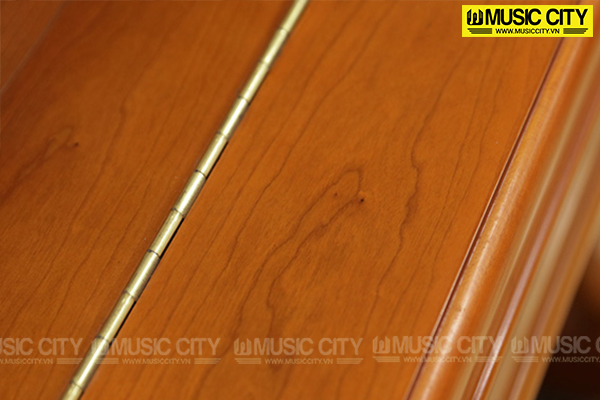 Music City – Tổng Kho Piano, Guitar, Organ | Dịch Vụ Giáo Dục Âm Nhạc