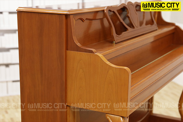 Music City – Tổng Kho Piano, Guitar, Organ | Dịch Vụ Giáo Dục Âm Nhạc