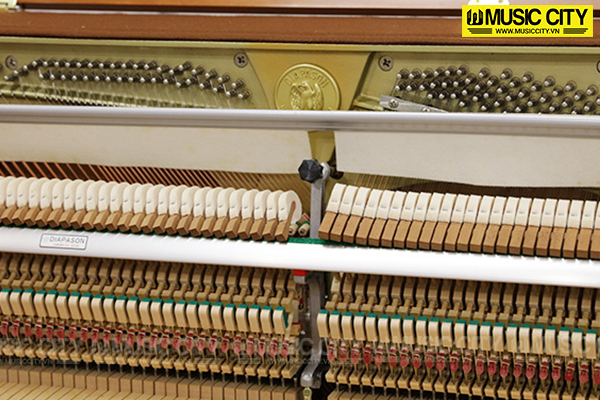 Music City – Tổng Kho Piano, Guitar, Organ | Dịch Vụ Giáo Dục Âm Nhạc