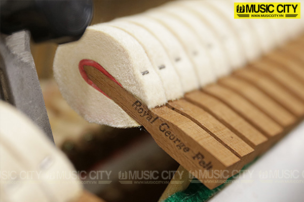 Music City – Tổng Kho Piano, Guitar, Organ | Dịch Vụ Giáo Dục Âm Nhạc