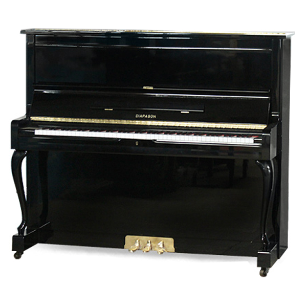Music City – Tổng Kho Piano, Guitar, Organ | Dịch Vụ Giáo Dục Âm Nhạc