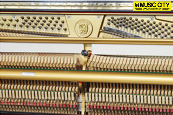 Music City – Tổng Kho Piano, Guitar, Organ | Dịch Vụ Giáo Dục Âm Nhạc