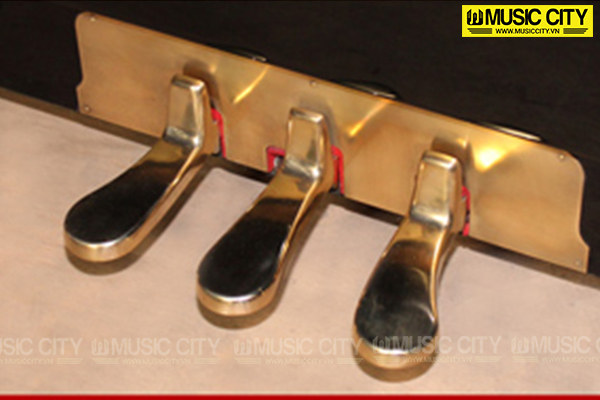Đàn Piano Diapason DR125BF - Ảnh 6