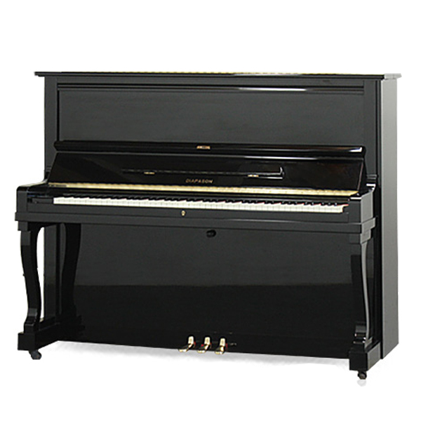 Music City – Tổng Kho Piano, Guitar, Organ | Dịch Vụ Giáo Dục Âm Nhạc
