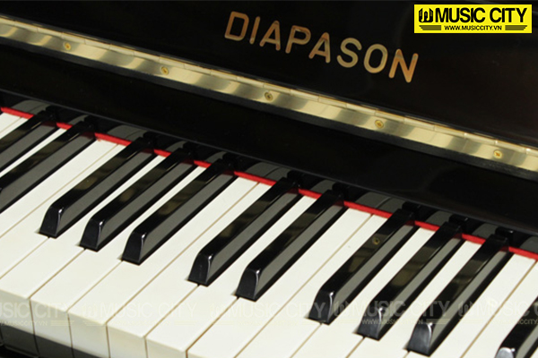 Music City – Tổng Kho Piano, Guitar, Organ | Dịch Vụ Giáo Dục Âm Nhạc