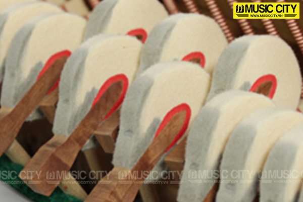 Music City – Tổng Kho Piano, Guitar, Organ | Dịch Vụ Giáo Dục Âm Nhạc