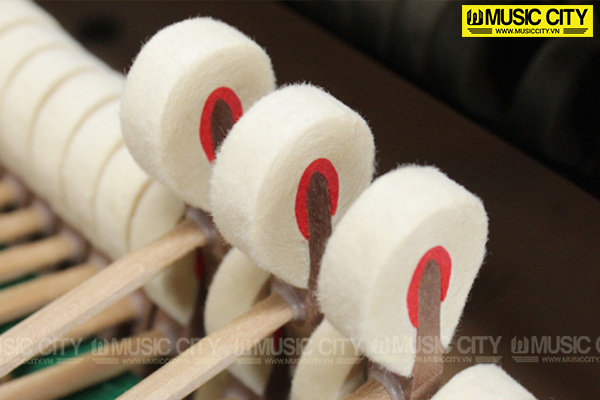 Music City – Tổng Kho Piano, Guitar, Organ | Dịch Vụ Giáo Dục Âm Nhạc