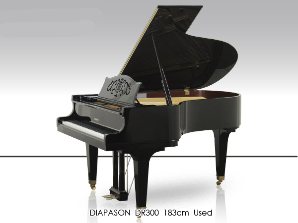 Music City – Tổng Kho Piano, Guitar, Organ | Dịch Vụ Giáo Dục Âm Nhạc