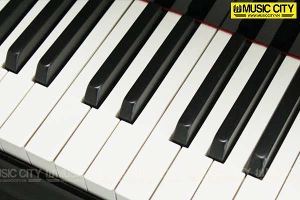 Music City – Tổng Kho Piano, Guitar, Organ | Dịch Vụ Giáo Dục Âm Nhạc