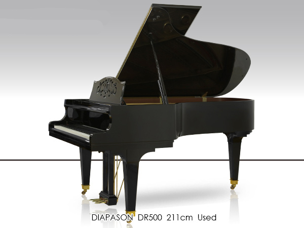 Đàn Grand Diapason DR500 - Ảnh 2