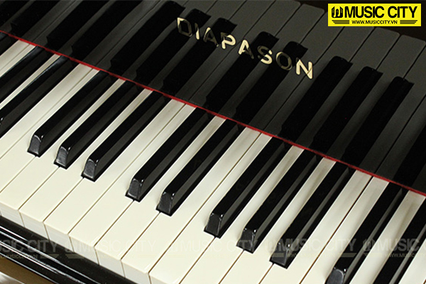 Đàn Grand Diapason DR500 - Ảnh 3
