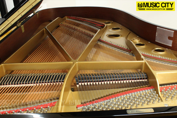 Music City – Tổng Kho Piano, Guitar, Organ | Dịch Vụ Giáo Dục Âm Nhạc