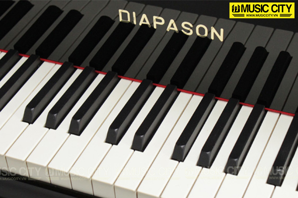 Đàn Grand Diapason DR5BG - Ảnh 3