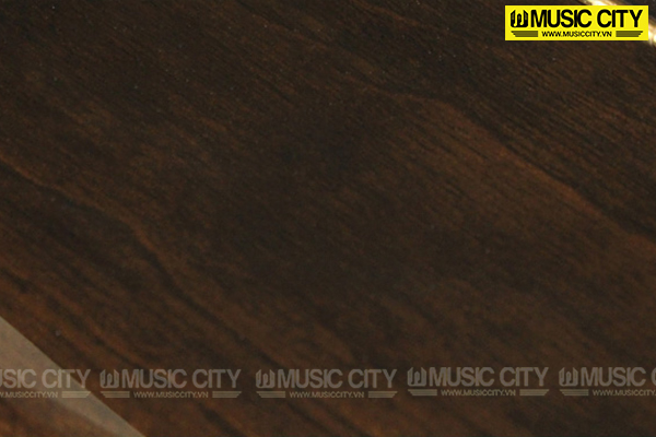 Music City – Tổng Kho Piano, Guitar, Organ | Dịch Vụ Giáo Dục Âm Nhạc