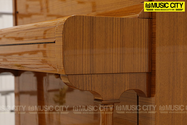 Music City – Tổng Kho Piano, Guitar, Organ | Dịch Vụ Giáo Dục Âm Nhạc