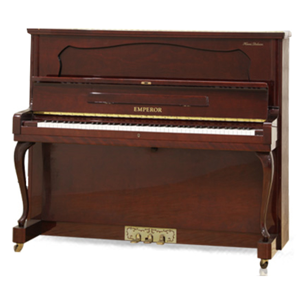 Music City – Tổng Kho Piano, Guitar, Organ | Dịch Vụ Giáo Dục Âm Nhạc
