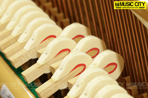 Music City – Tổng Kho Piano, Guitar, Organ | Dịch Vụ Giáo Dục Âm Nhạc