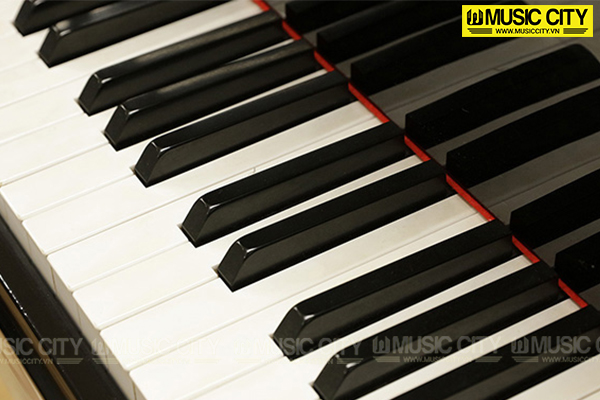 Đàn Piano Emperor MY707E - Ảnh 3