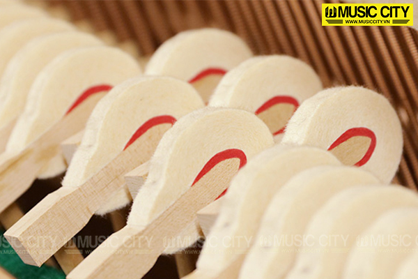 Music City – Tổng Kho Piano, Guitar, Organ | Dịch Vụ Giáo Dục Âm Nhạc